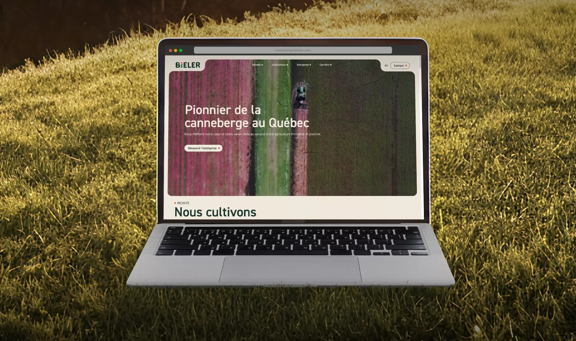 Une refonte complète du site web de Canneberges Bieler signée Bob -
