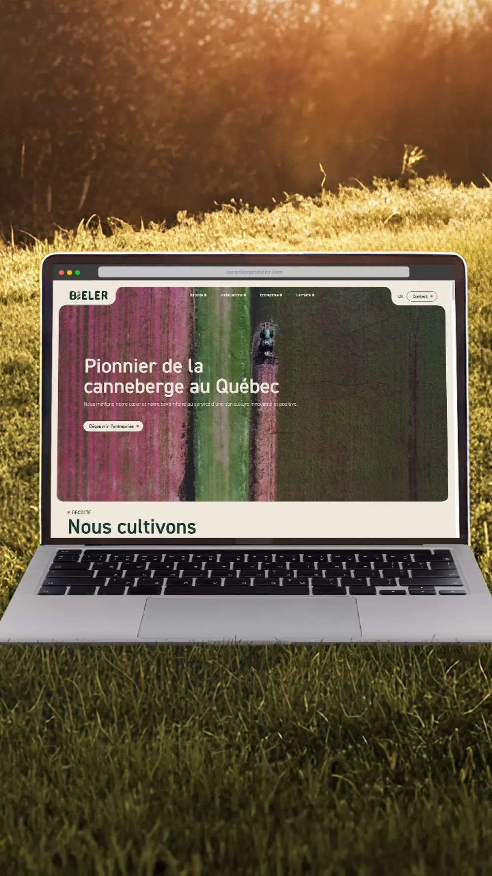 Une refonte complète du site web de Canneberges Bieler signée Bob -